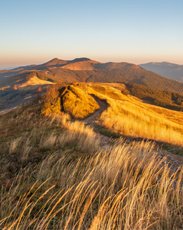 mountain meadows in the Bieszczady Mountains