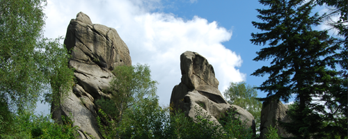Prządki reserve in the Czarnorzeki-Strzyżów Landscape Park